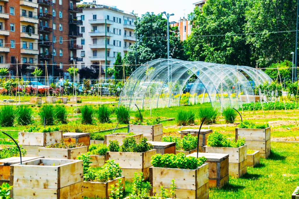 urban agriculture