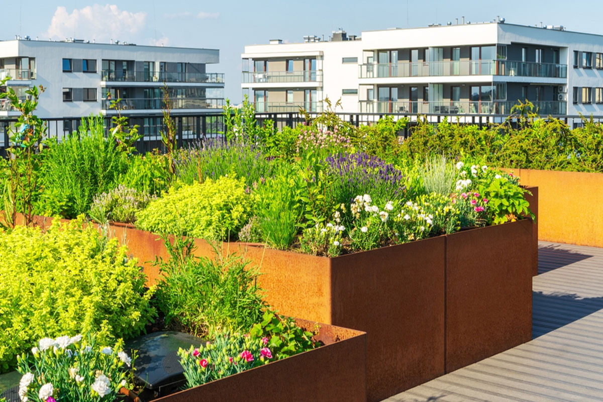 You are currently viewing The Power of Community Gardens: Virtual Initiatives Supporting Urban Agriculture